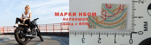 СК Магас