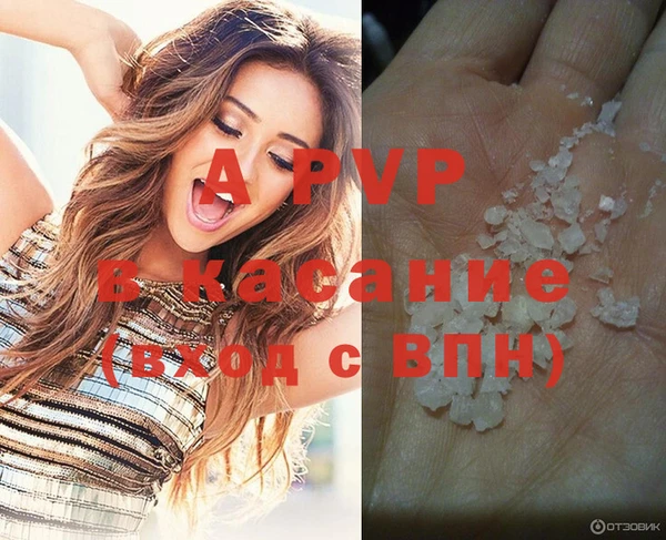 СК Магас