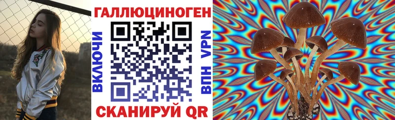 Псилоцибиновые грибы мицелий Нытва